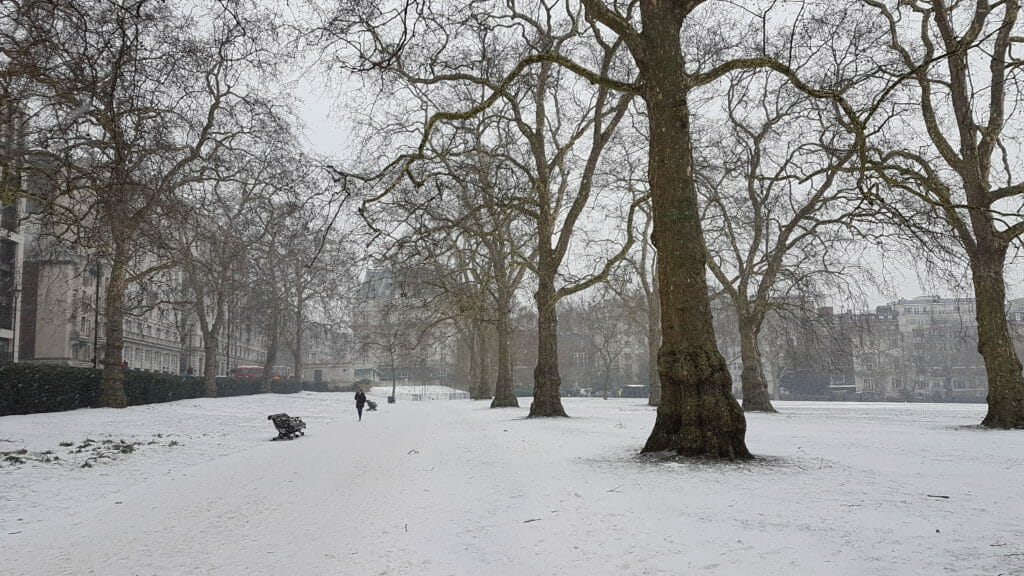 Snow in Green Park