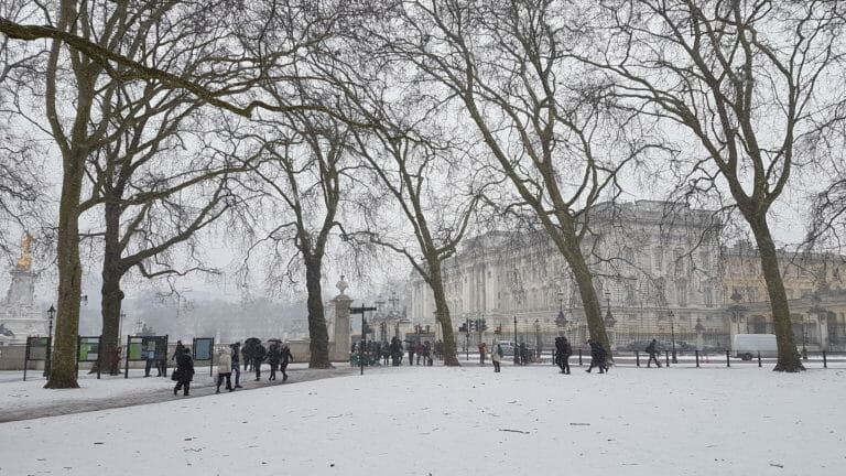 Snow in Green Park, with Buckingham Palace in the Background