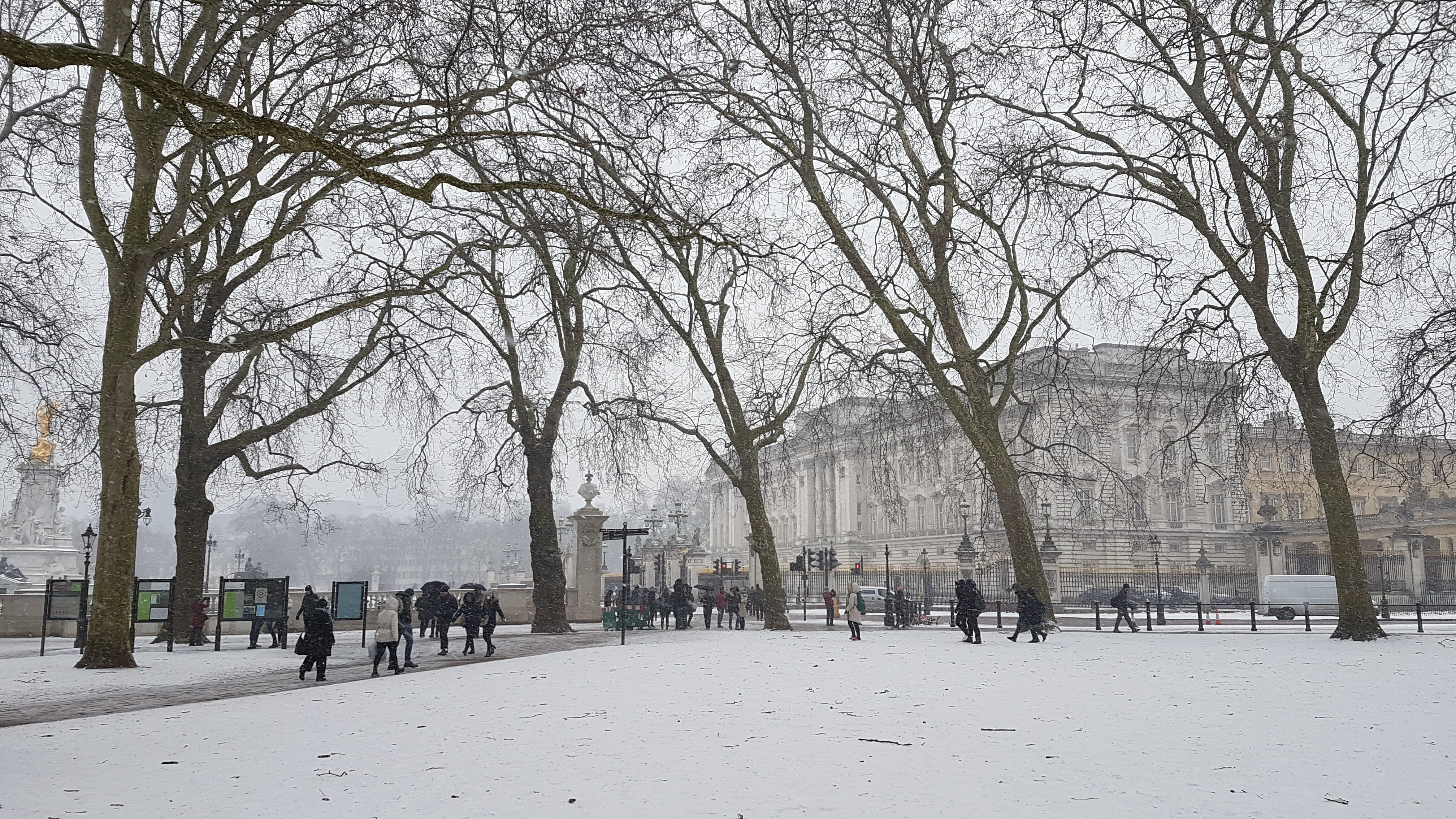 Snow in Green Park, with Buckingham Palace in the Background